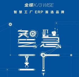 金蝶K/3 Wise企業(yè)管理軟件 提升企業(yè)綜合管理效能的利器