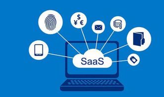 SaaS服務(wù) 中小企業(yè)信息化與現(xiàn)代化管理的強力引擎